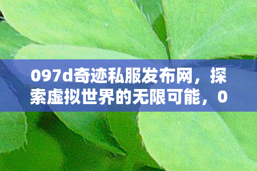 097d奇迹私服发布网图片