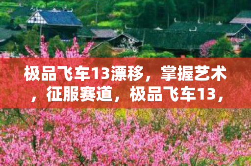 极品飞车13漂移图片