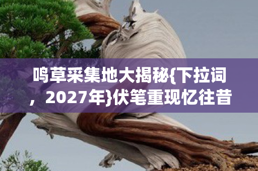 鸣草采集地大揭秘图片