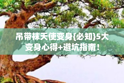 吊带袜天使变身图片
