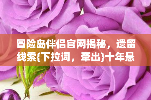 冒险岛伴侣官网揭秘图片