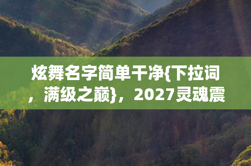 2027灵魂震颤之旅图片