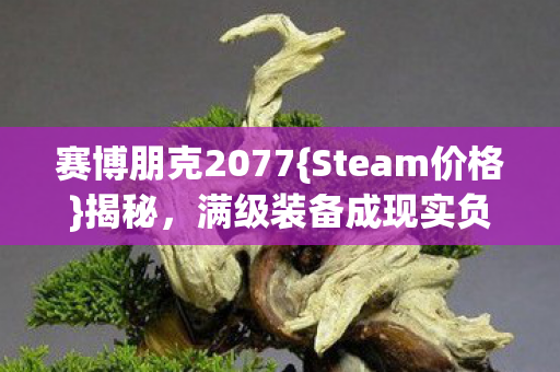 赛博朋克2077{Steam价格}揭秘,满级装备成现实负资产? 赛博朋克2077{Steam价格}揭秘,满级装备成现实负资产?