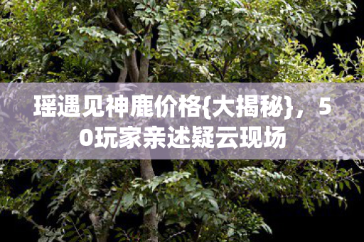 50玩家亲述疑云现场图片