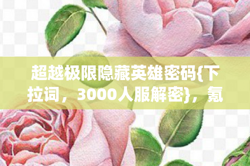 超越极限隐藏英雄密码图片