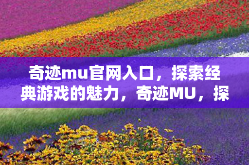 探索经典游戏的魅力图片