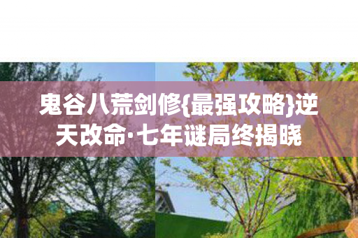 七年谜局终揭晓图片