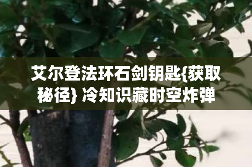 艾尔登法环石剑钥匙图片