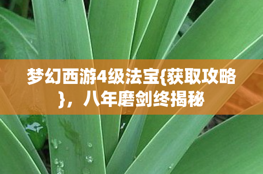 梦幻西游4级法宝{获取攻略},八年磨剑终揭秘 梦幻西游4级法宝{获取攻略},八年磨剑终揭秘