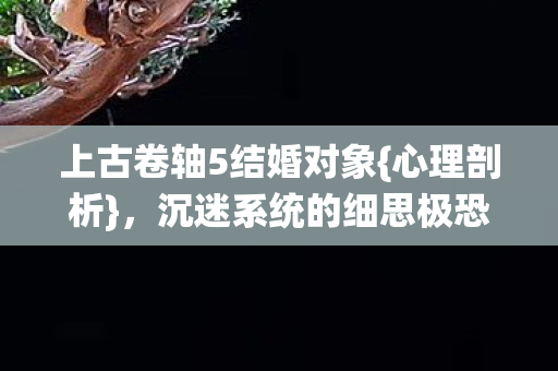 上古卷轴5结婚对象{心理剖析},沉迷系统的细思极恐 上古卷轴5结婚对象{心理剖析},沉迷系统的细思极恐