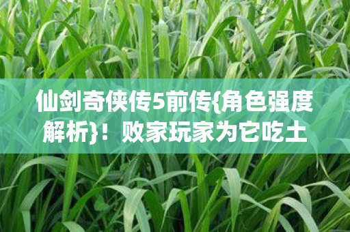 仙剑奇侠传5前传{角色强度解析}！败家玩家为它吃土破圈
