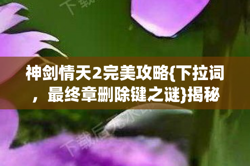 神剑情天2完美攻略图片