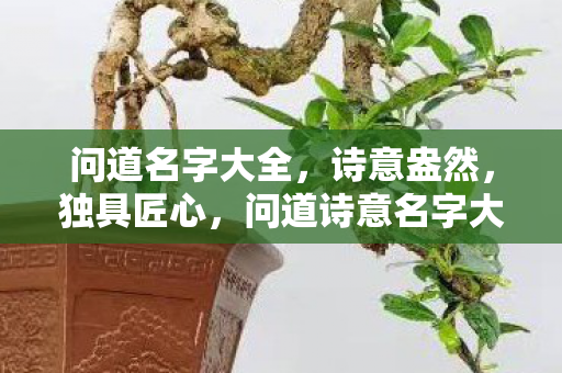 问道名字大全，诗意盎然，独具匠心，问道诗意名字大全，独具匠心，诗意盎然