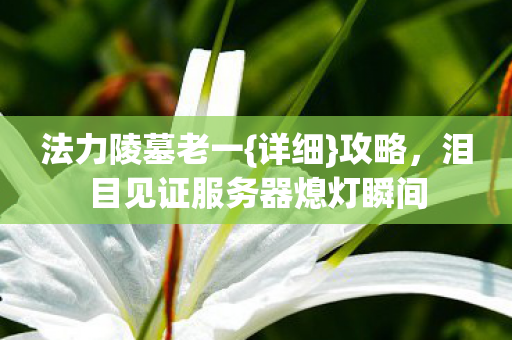 泪目见证服务器熄灯瞬间图片