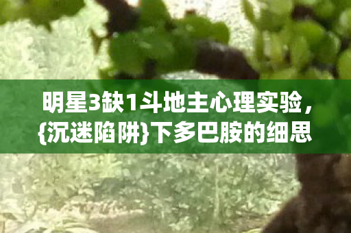 明星3缺1斗地主心理实验图片