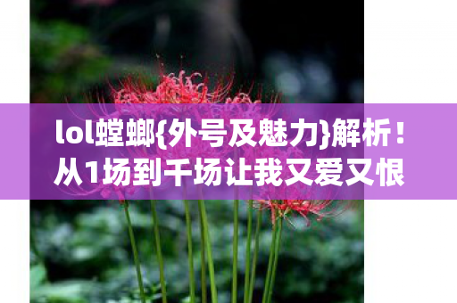 从1场到千场让我又爱又恨图片