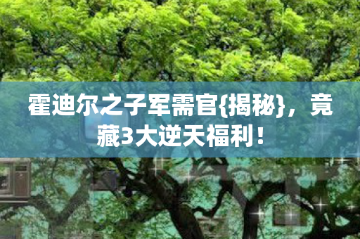 霍迪尔之子军需官{揭秘},竟藏3大逆天福利! 霍迪尔之子军需官{揭秘},竟藏3大逆天福利!