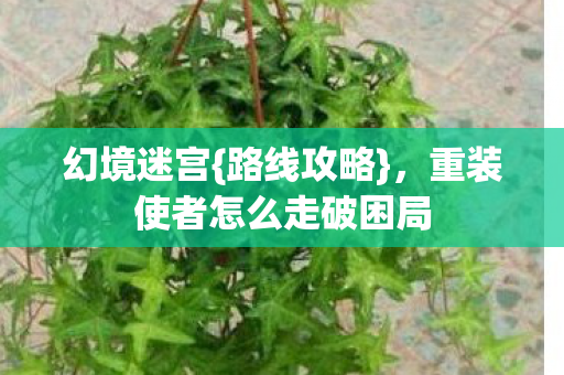 幻境迷宫{路线攻略}，重装使者怎么走破困局