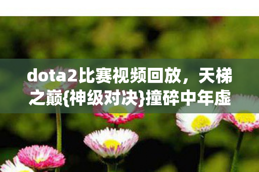 dota2比赛视频回放图片