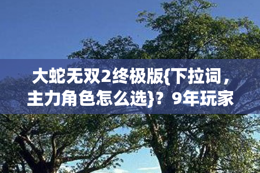 大蛇无双2终极版图片