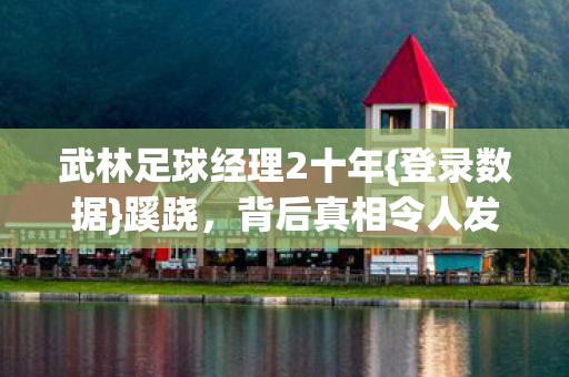 武林足球经理2十年图片