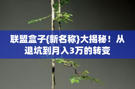 从退坑到月入3万的转变图片