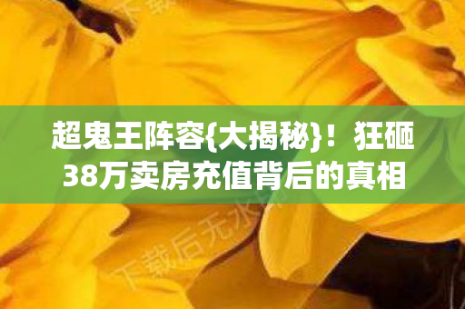 狂砸38万卖房充值背后的真相图片