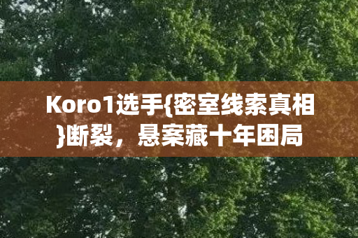 Koro1选手图片