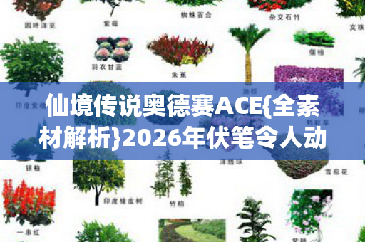 仙境传说奥德赛ACE{全素材解析}2026年伏笔令人动容 仙境传说奥德赛ACE{全素材解析}2026年伏笔令人动容