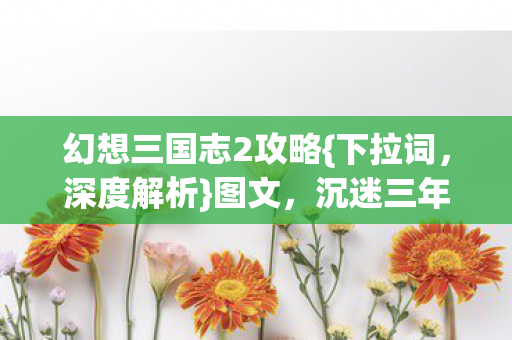 幻想三国志2攻略图片