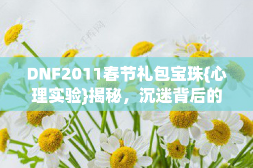DNF2011春节礼包宝珠图片