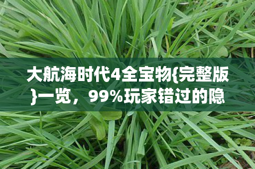 大航海时代4全宝物图片
