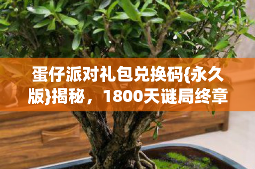 1800天谜局终章真相图片