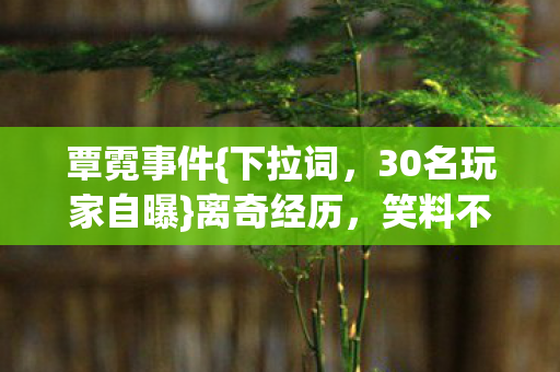 30名玩家自曝图片