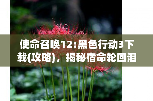 使命召唤12:黑色行动3下载{攻略},揭秘宿命轮回泪目真相 使命召唤12:黑色行动3下载{攻略},揭秘宿命轮回泪目真相