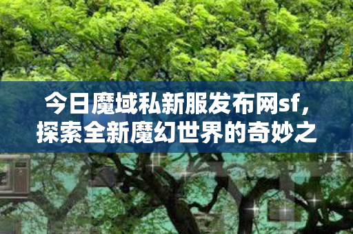 魔域私新服发布网sf等你来挑战图片