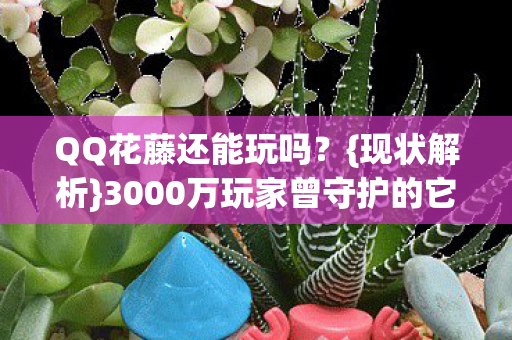 QQ花藤还能玩吗？{现状解析}3000万玩家曾守护的它