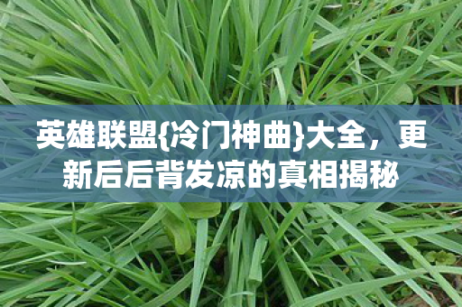 更新后后背发凉的真相揭秘图片