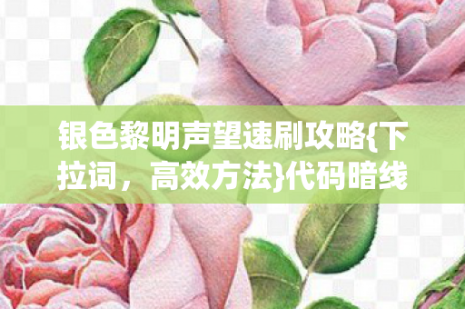 银色黎明声望速刷攻略图片