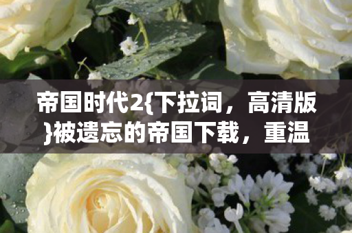 被遗忘的帝国下载图片