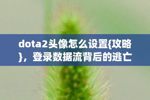 登录数据流背后的逃亡真相图片