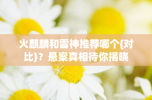 火麒麟和雷神推荐哪个图片