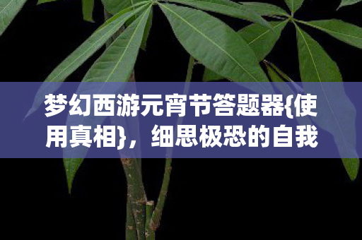 梦幻西游元宵节答题器图片