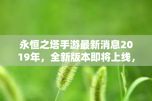 永恒之塔手游最新消息2019年图片