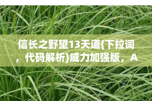 信长之野望13天道图片