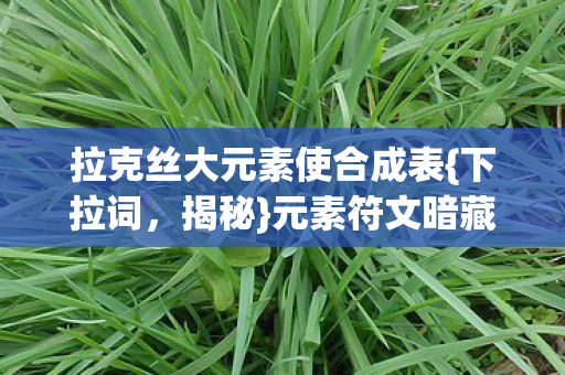 拉克丝大元素使合成表{下拉词,揭秘}元素符文暗藏的悬案 拉克丝大元素使合成表{下拉词,揭秘}元素符文暗藏的悬案