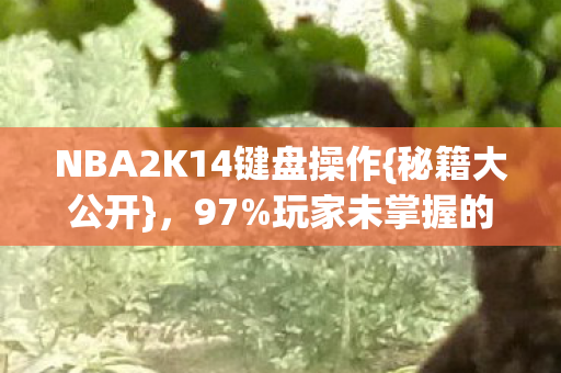NBA2K14键盘操作{秘籍大公开}，97%玩家未掌握的技巧