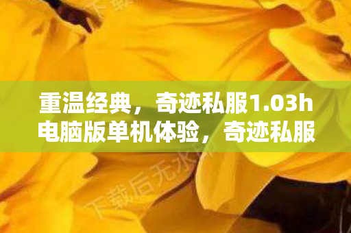 03h电脑版单机体验图片