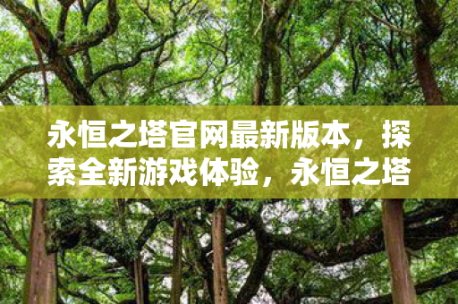 永恒之塔官网发布新版本图片