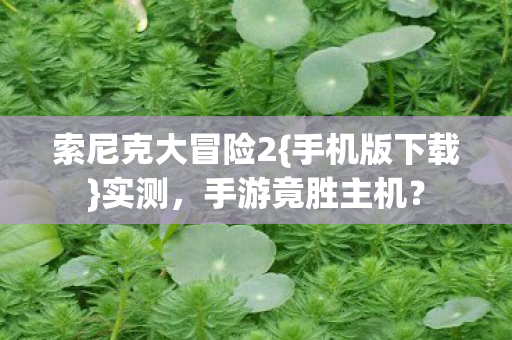 索尼克大冒险2图片